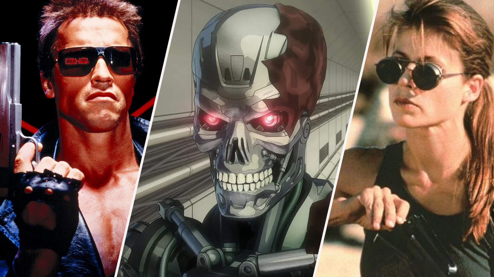 terminator arnold schwarzenegger, Terminator Zero, and Sarah Connor in T2