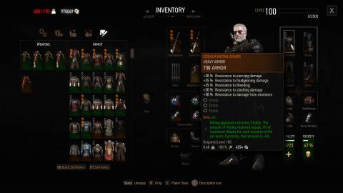 Tesham Mutna Armor, Witcher 3-1 (1)