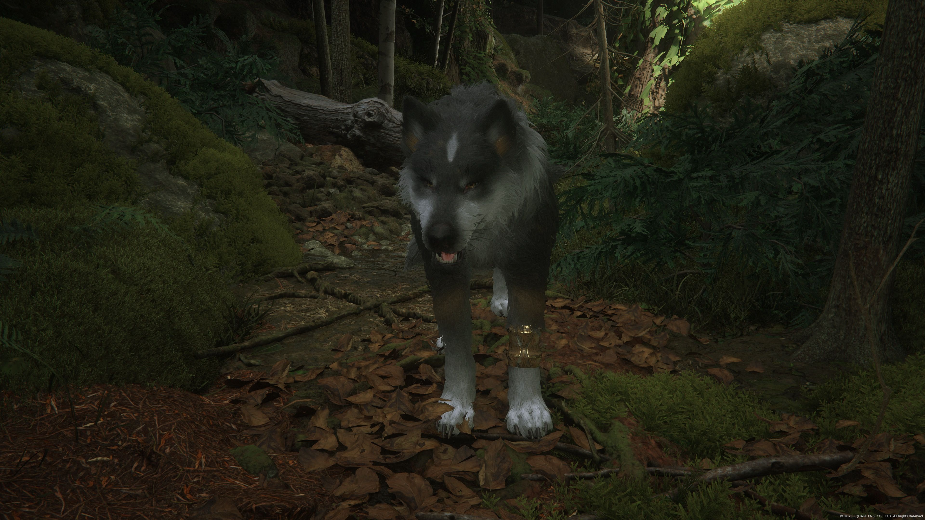 Torgal in Final Fantasy 16 (2023)