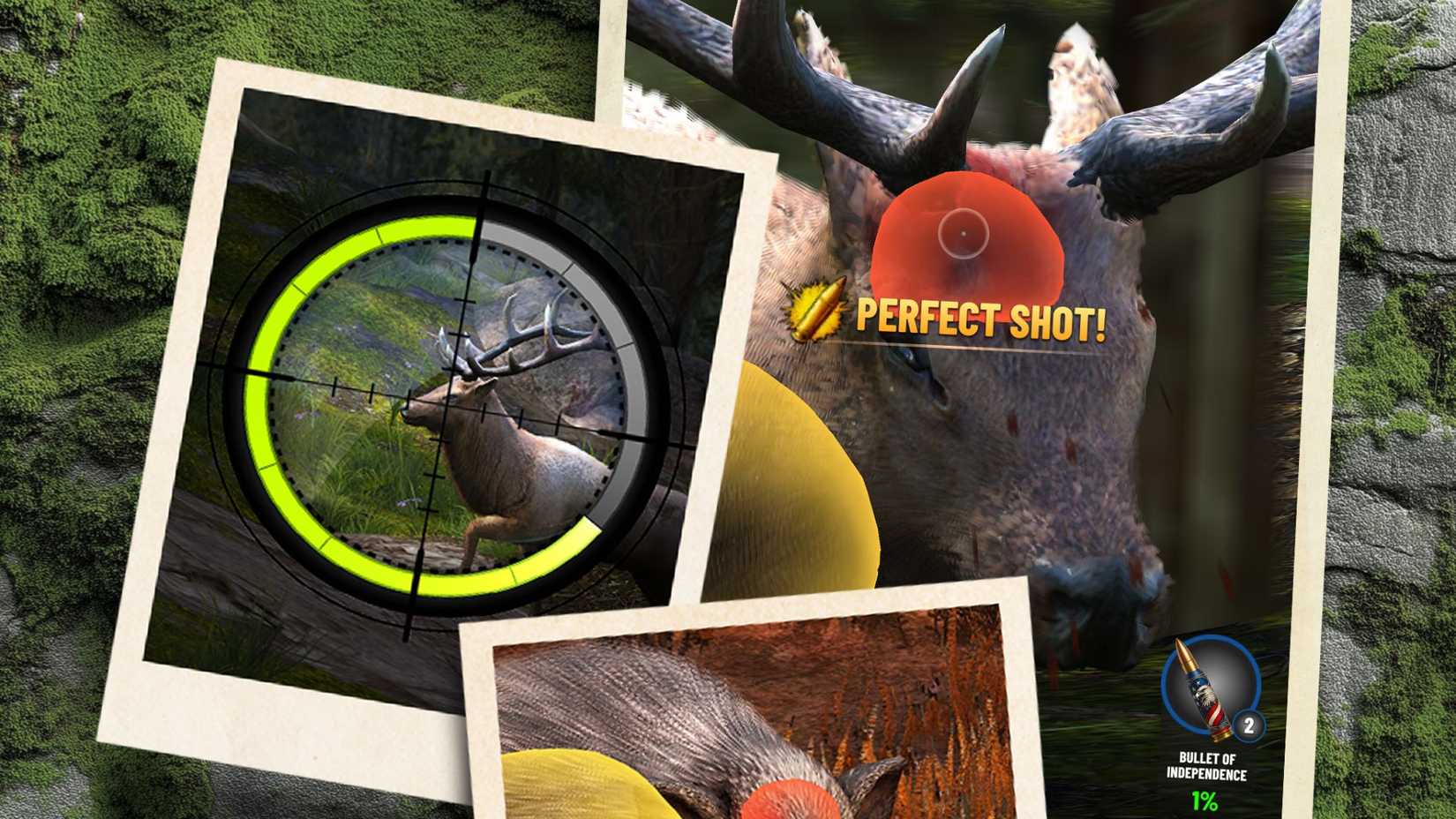 Trophy Hunter animals