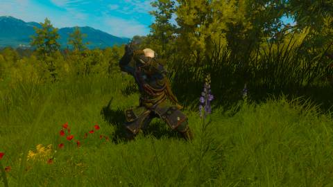 Undvik Armor, Witcher 3 (2)