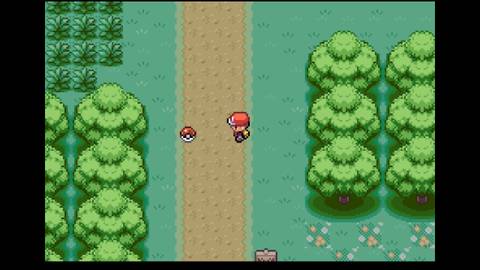 Viridian Forest Pokemon FireRed LeafGreen Antidote on the road