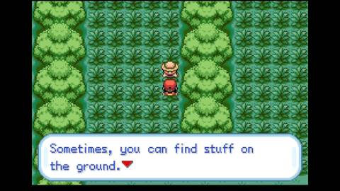 Viridian Forest Pokemon FireRed LeafGreen Bug Catcher Sammy hidden item clue