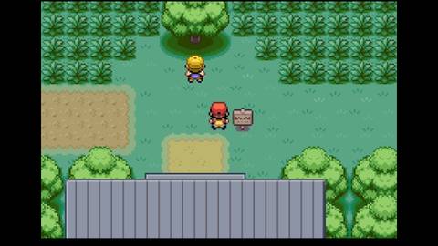 Viridian Forest Pokemon FireRed LeafGreen Entrance
