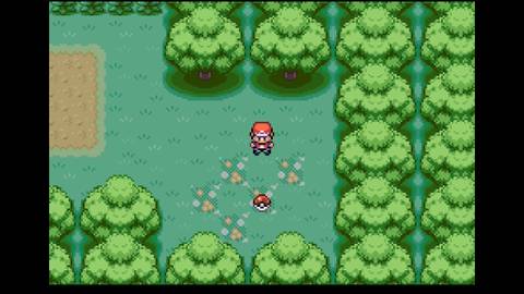 Viridian Forest Pokemon FireRed LeafGreen Potion on Flower Patch