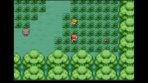 Viridian Forest Pokemon FireRed LeafGreen Potion