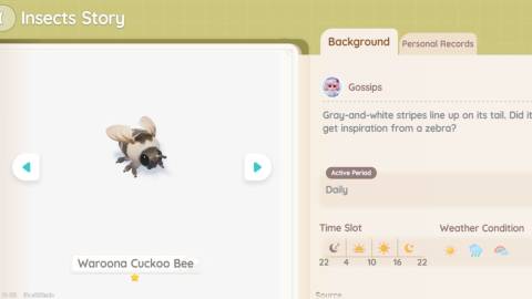 waroona cuckoo bee location heartopia