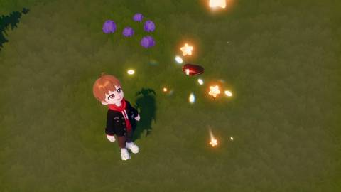 Where to Catch Large Pearl Mussel in Heartopia