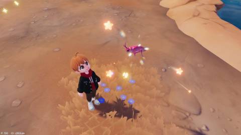 Where to Catch Pink Katydid in Heartopia