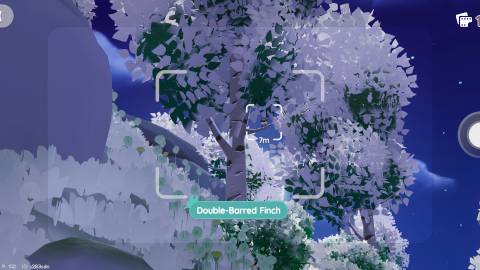 Where to Find Double-Barred Finch Heartopia