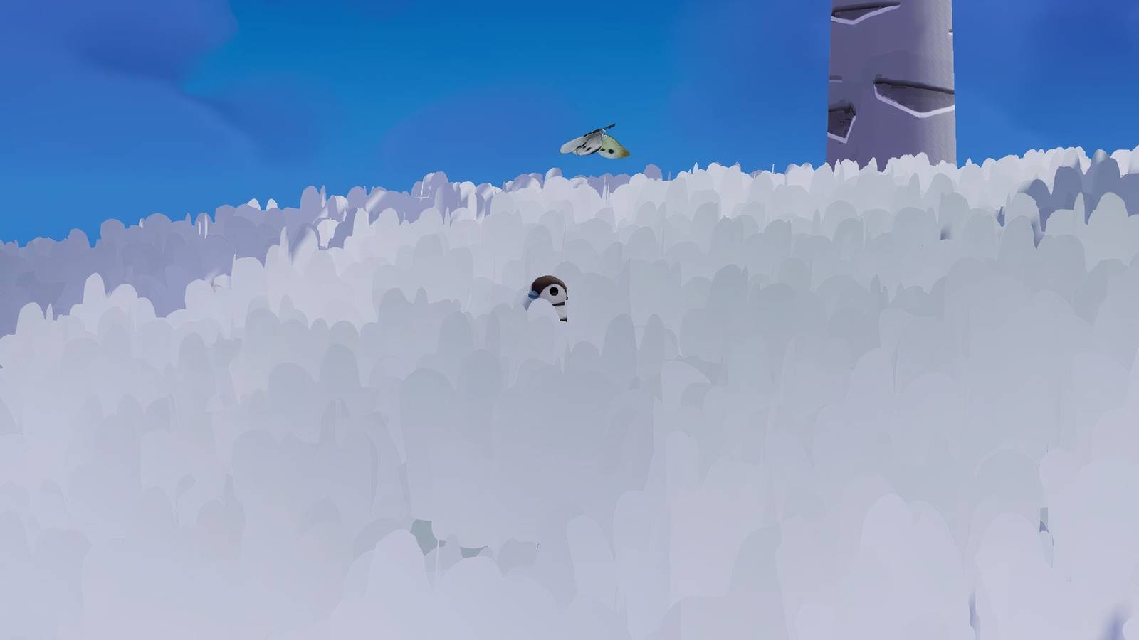 Where to Find Double-Barred Finch in Heartopia