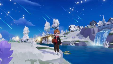 Where to Find Winter Mandarin Duck Heartopia