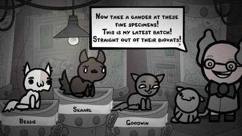 which two cats to choose at start of mewgenics