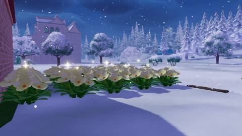 White Highland Poppy in Heartopia