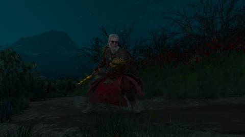 White Tiger of the West Armor Witcher 3 (1)