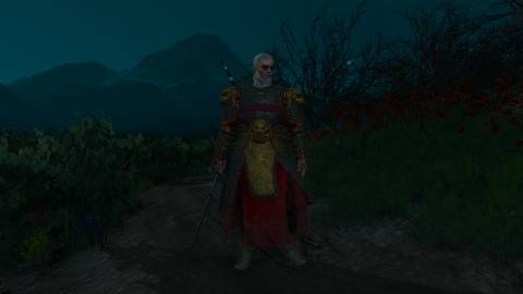 White Tiger of the West Armor Witcher 3 (2)