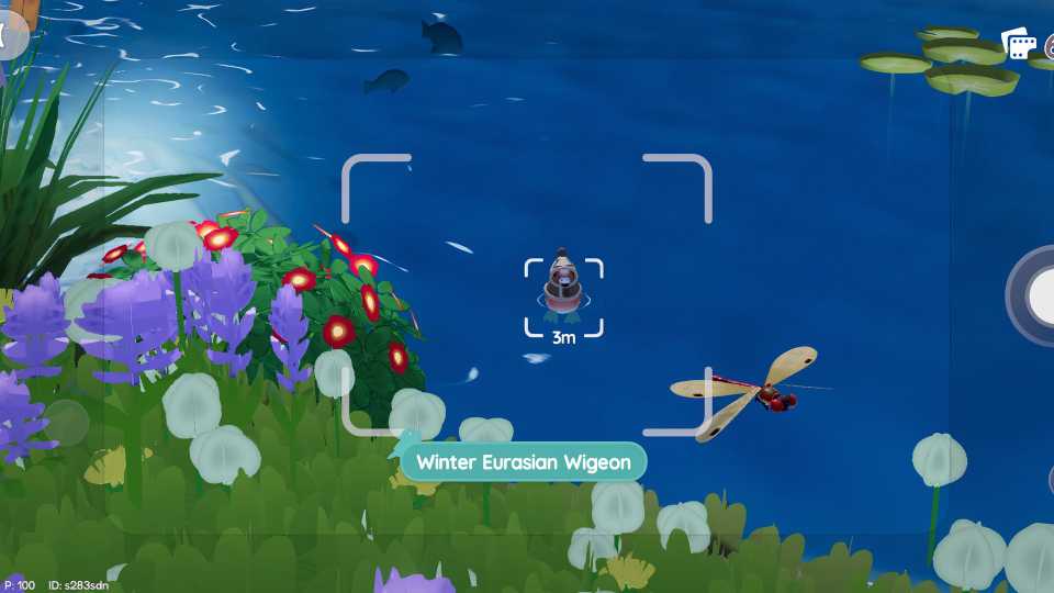 Winter Eurasian Wigeon Heartopia