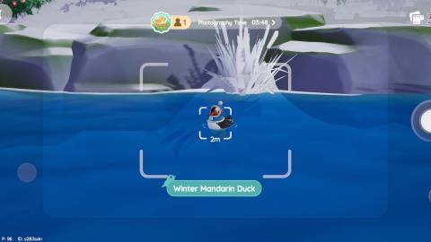 Winter Mandarin Duck Heartopia