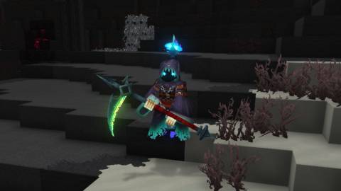 Wraith Hytale