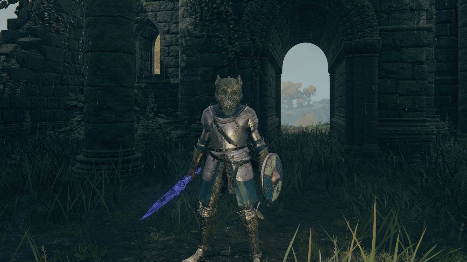 Your character wearing a dragon helmet in Elden Ring