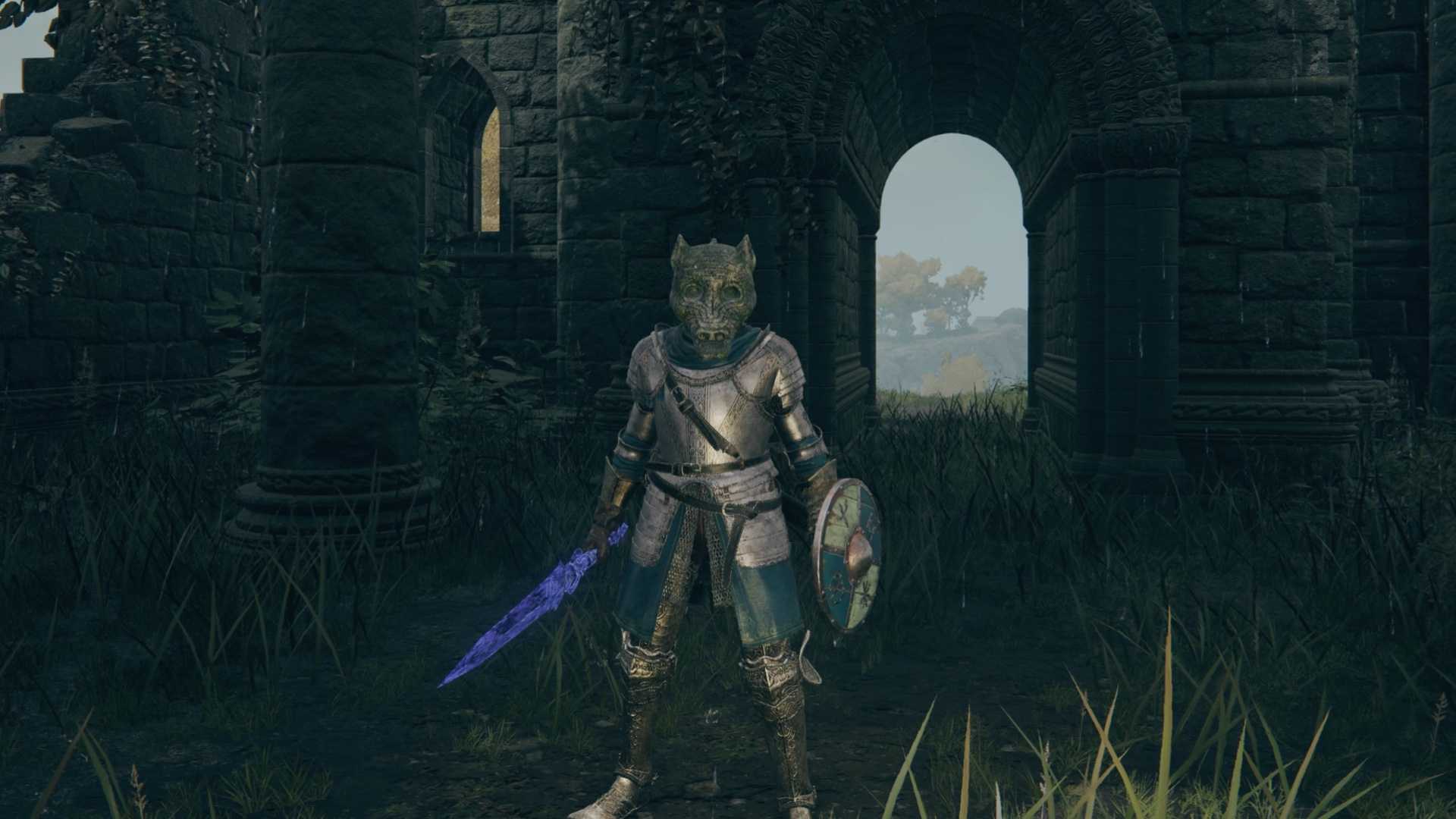 Your character wearing a dragon helmet in Elden Ring