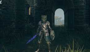 Your character wearing a dragon helmet in Elden Ring