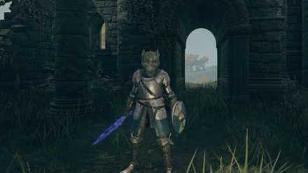 Your character wearing a dragon helmet in Elden Ring