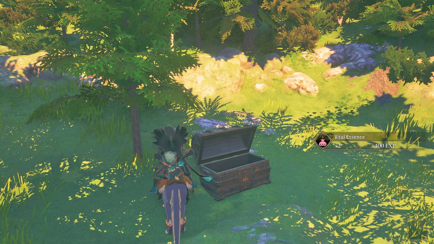 MHS3 Vital Essence from chest