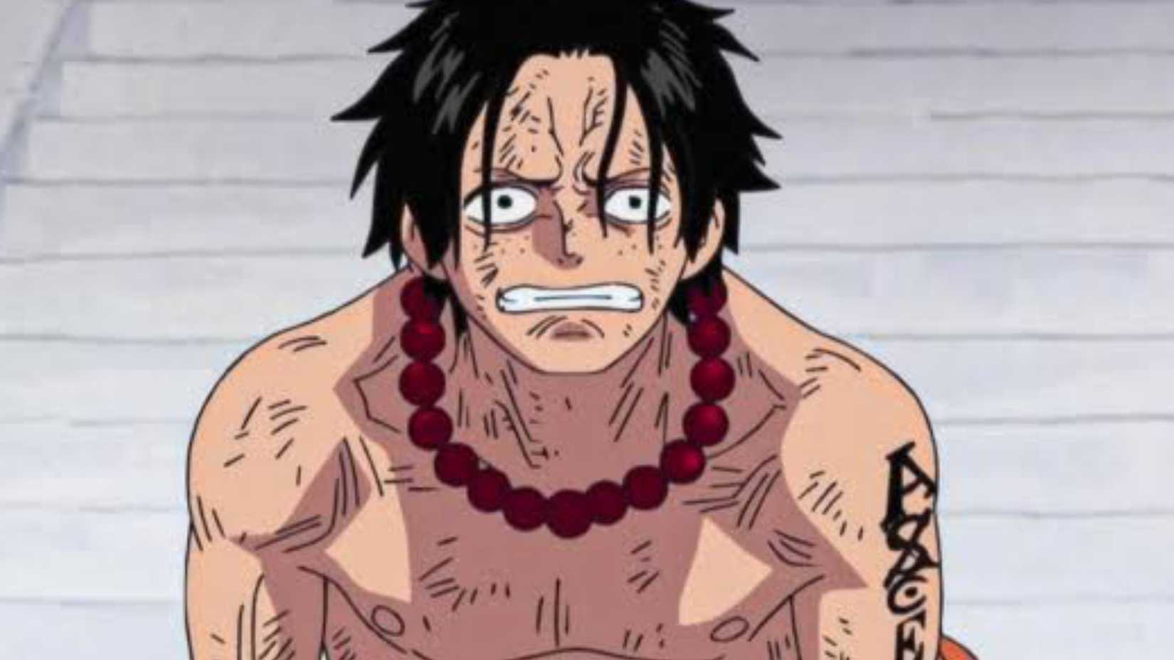 Ace D Portgas Perfect Candidates Sun God Nika After Luffy one piece