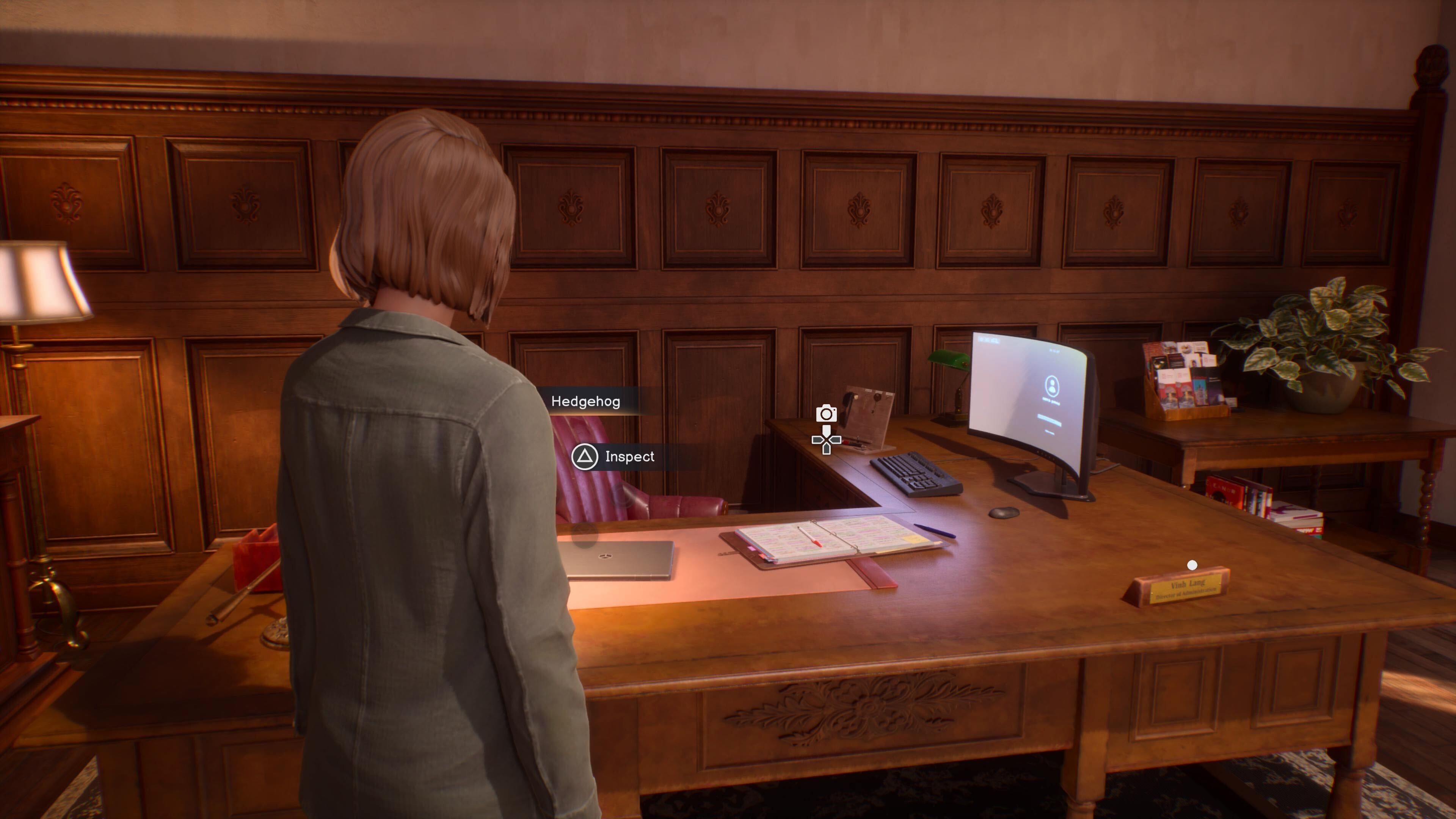 All Max Collectible Locations in Life is Strange Reunion