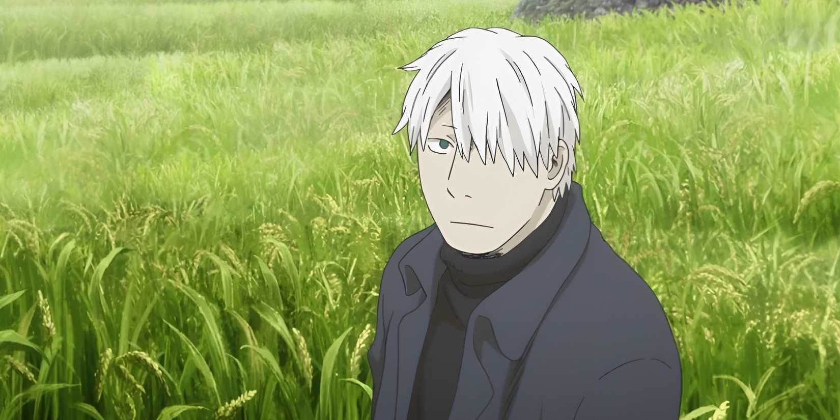 Anime series better than your eternal mushishi