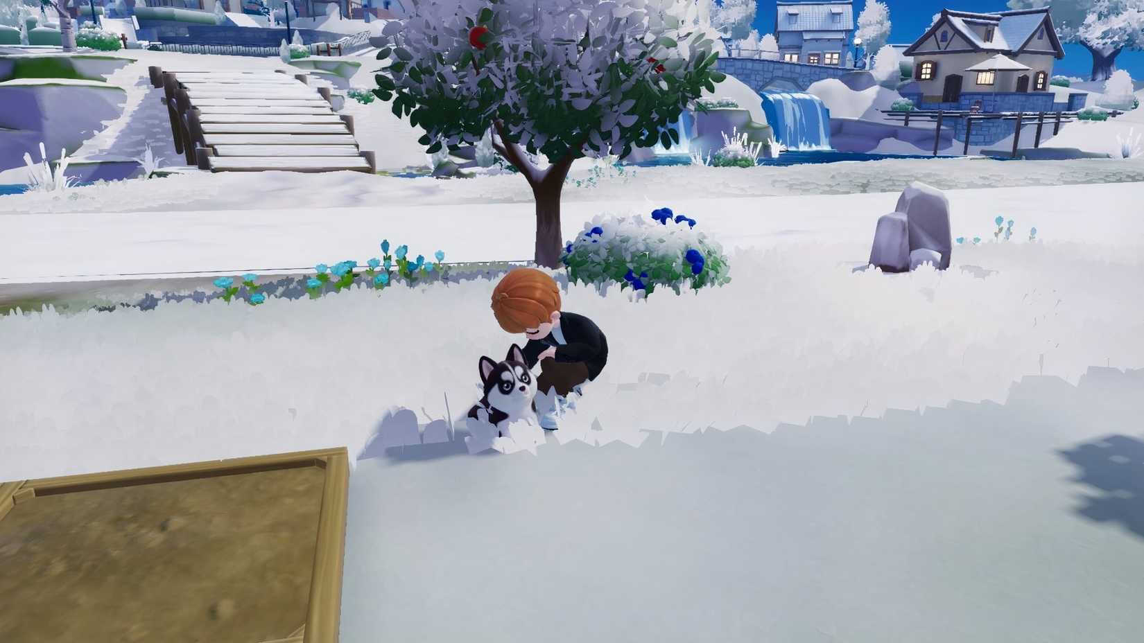 Heartpia's favorite dog food