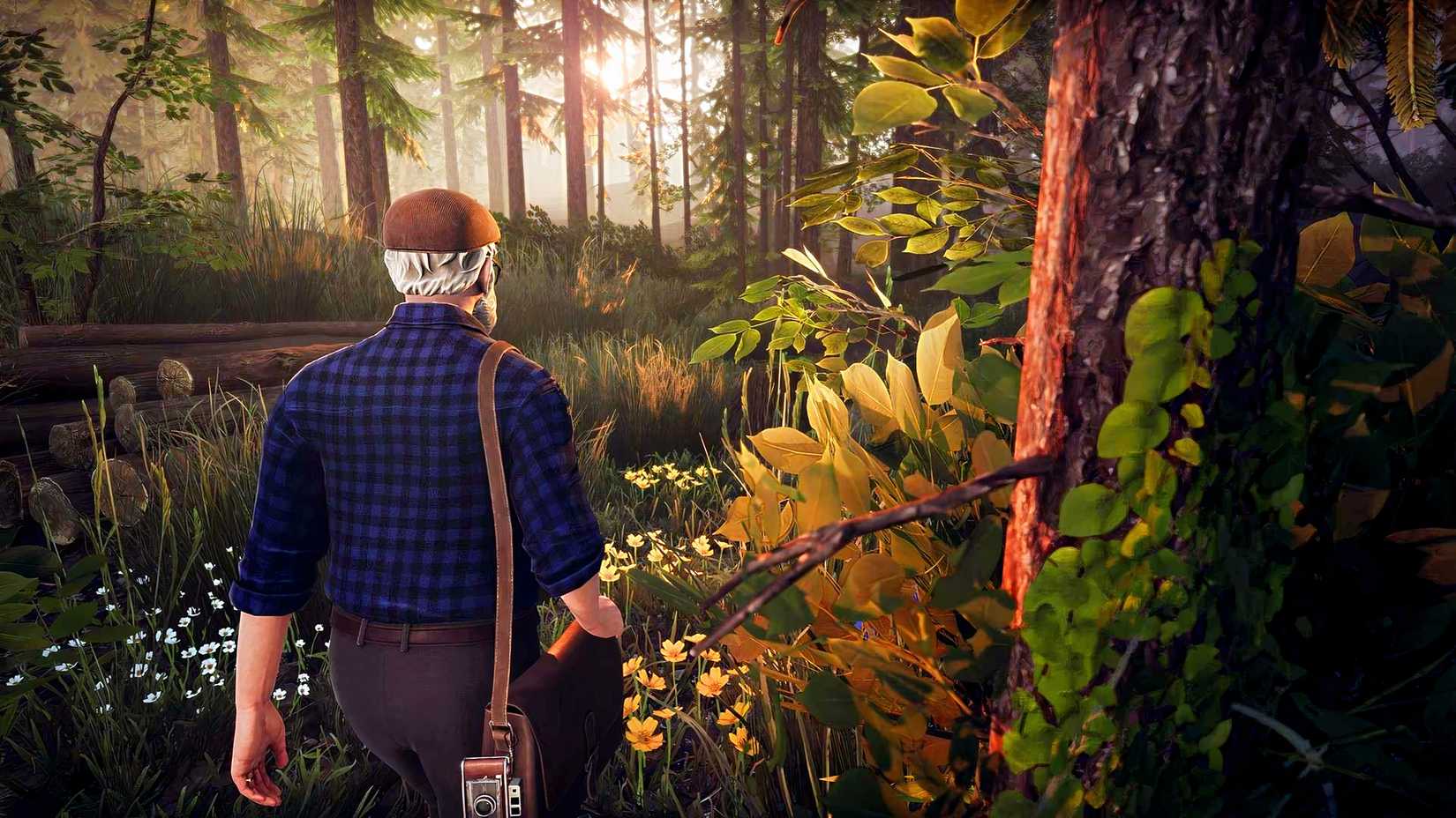 Forever Ago Launch Announcement