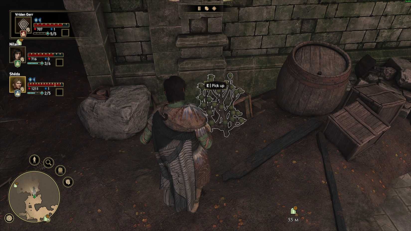 greedfall 2 dying world Mysterious Ruins Explore the lower levels of the ruins purple canna lily