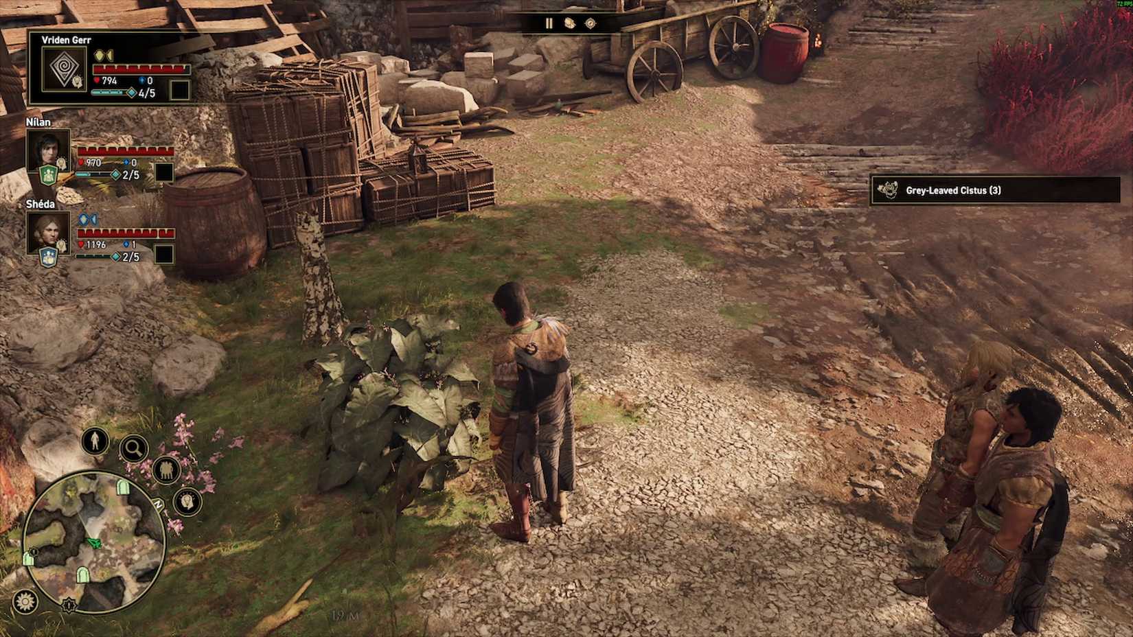 gray leaf cistus corpse greed 2 dying world