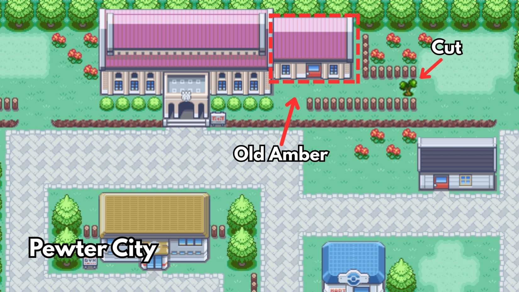 how to get old amber aerodactyl in pokemon fired leafgreen