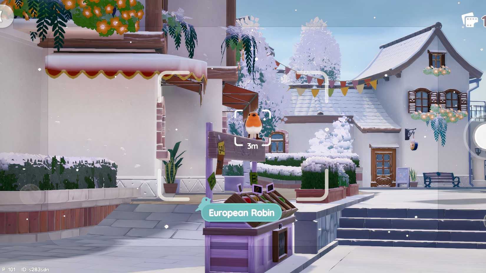 How to Photograph a European Robin at Heartopia