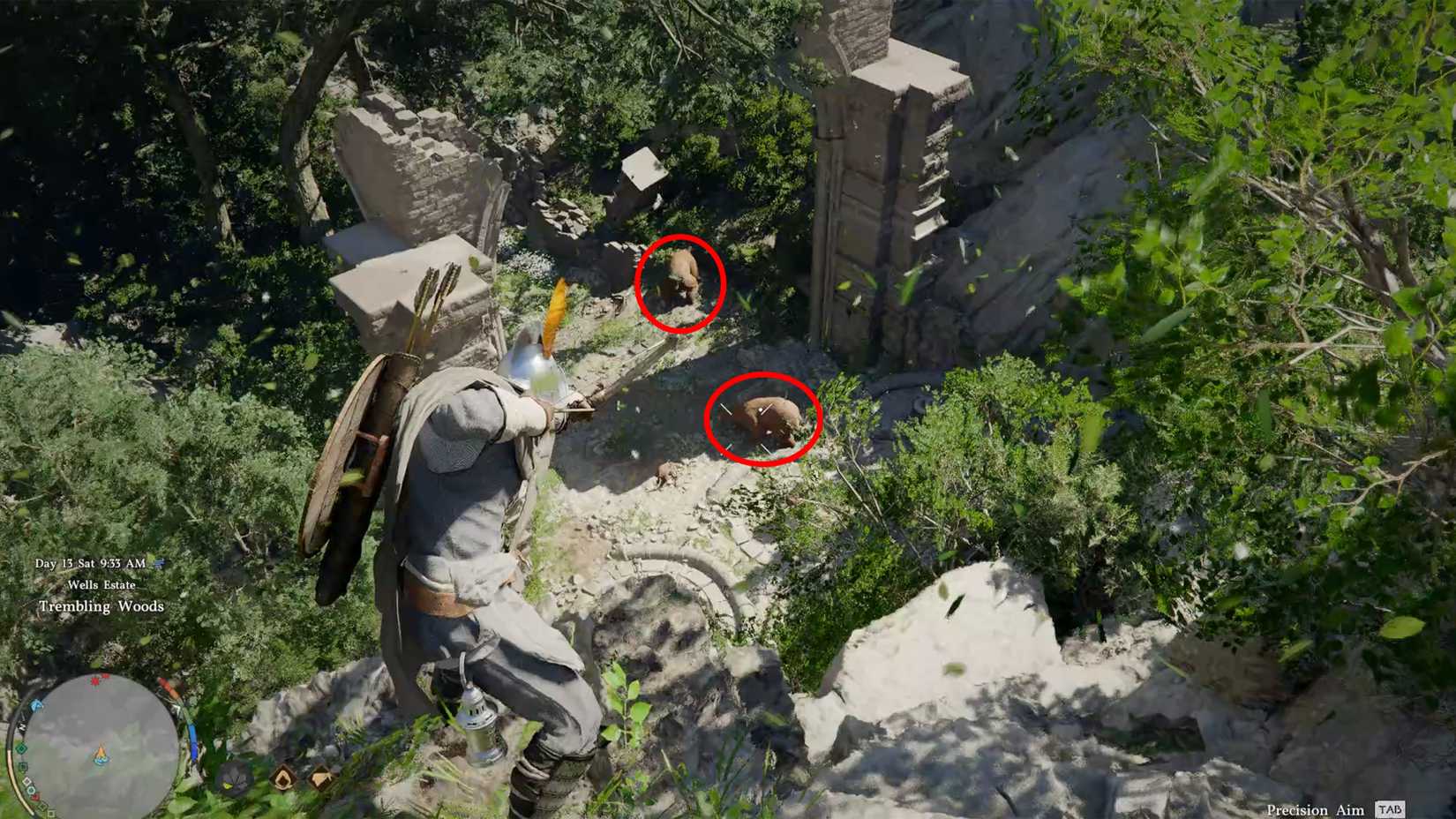 How to solve the Trembling Woods puzzle in Crimson Desert 2