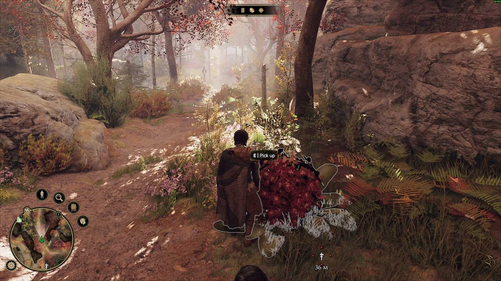 great spotted arum greedfall 2 dying world