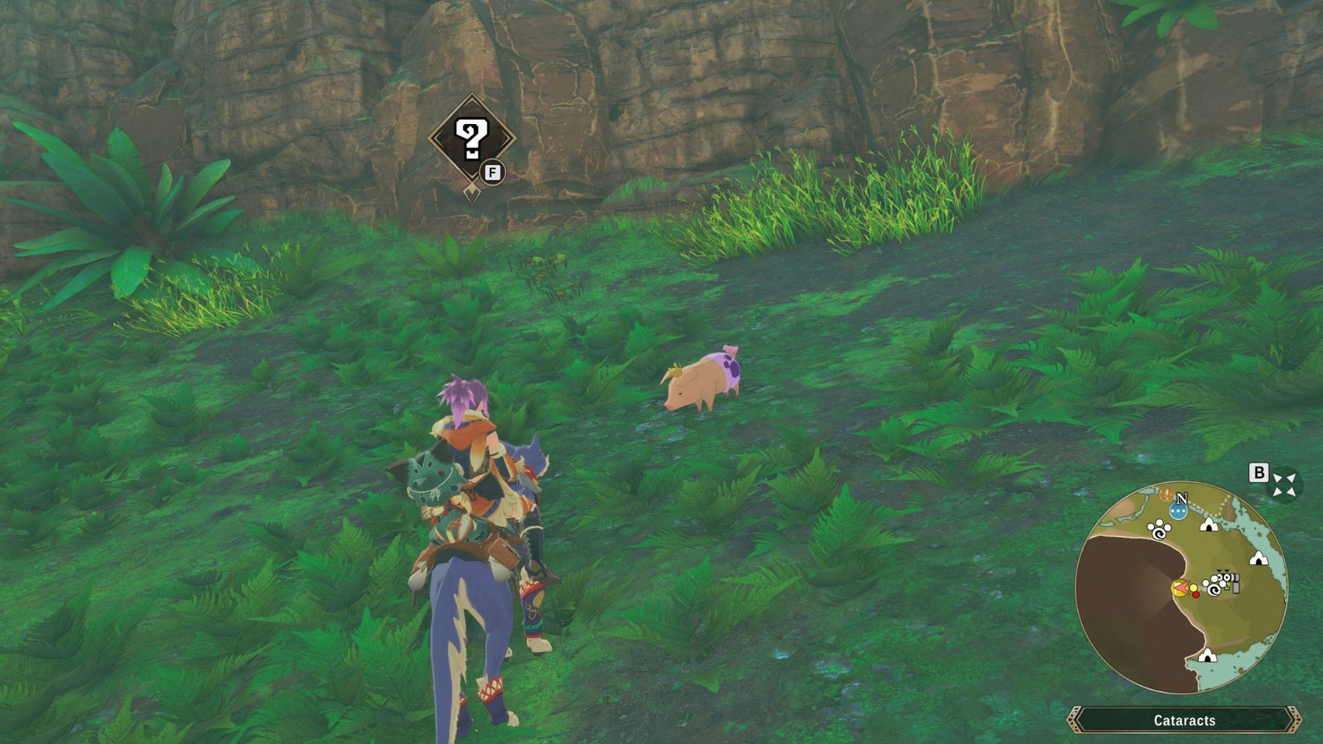 Canalta Timberland Poogie Locations in Monster Hunter Stories 3