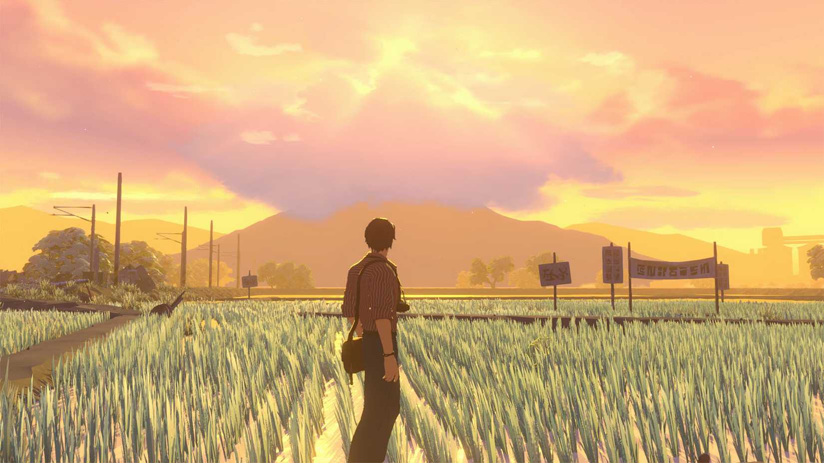 Opus Prism Peak Press Image 4