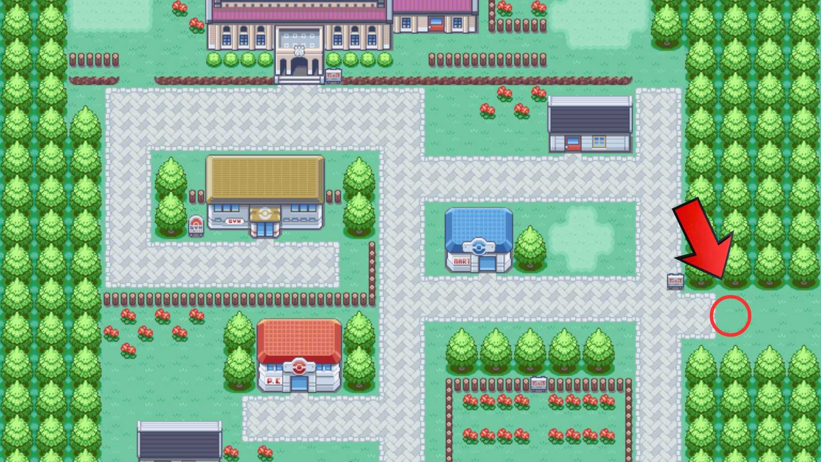 Professor Oak's sidekick from Tin City pokemon leaf green running shoes