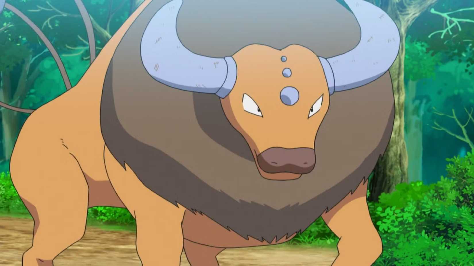 pokemon animation tauros