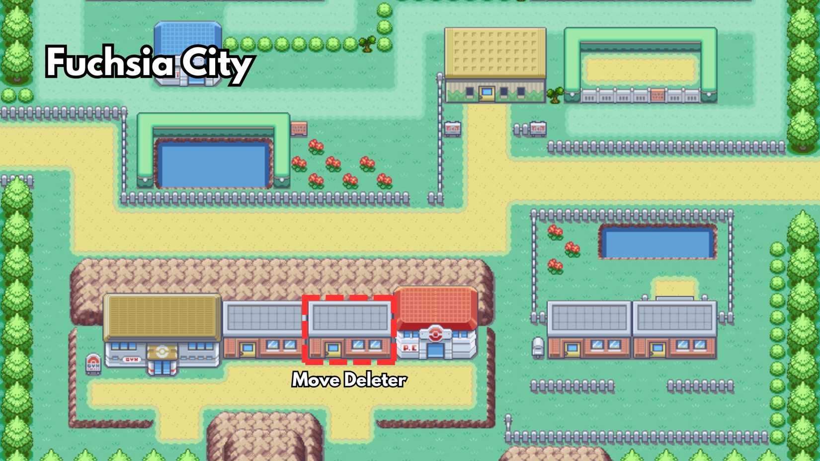 pokemon nature in pokemon burnt leaf green (1)