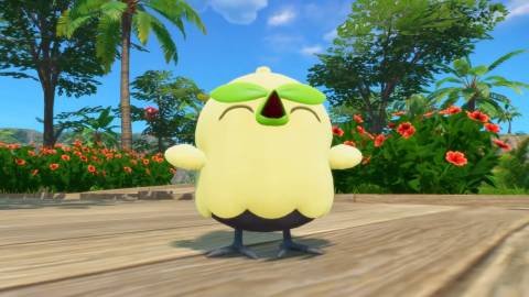 Pokemon Winds and Waves starters final evolutions fan art