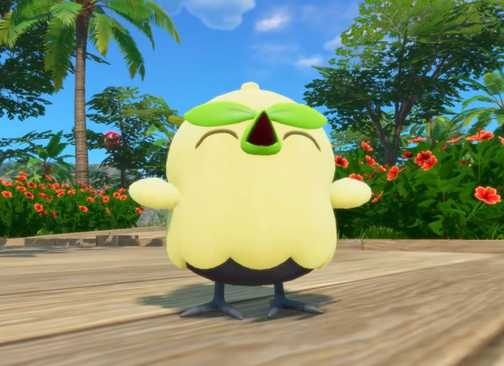 Pokemon Winds and Waves starters final evolutions fan art