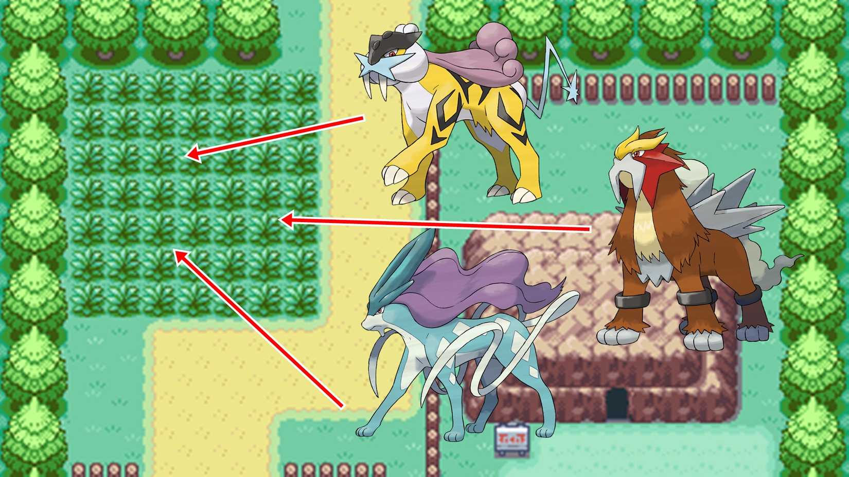Kanto Region's Raikou, Entei, and Suicune Route 2 Tall Grass Area Location in Pokemon FireRed & LeafGreen.