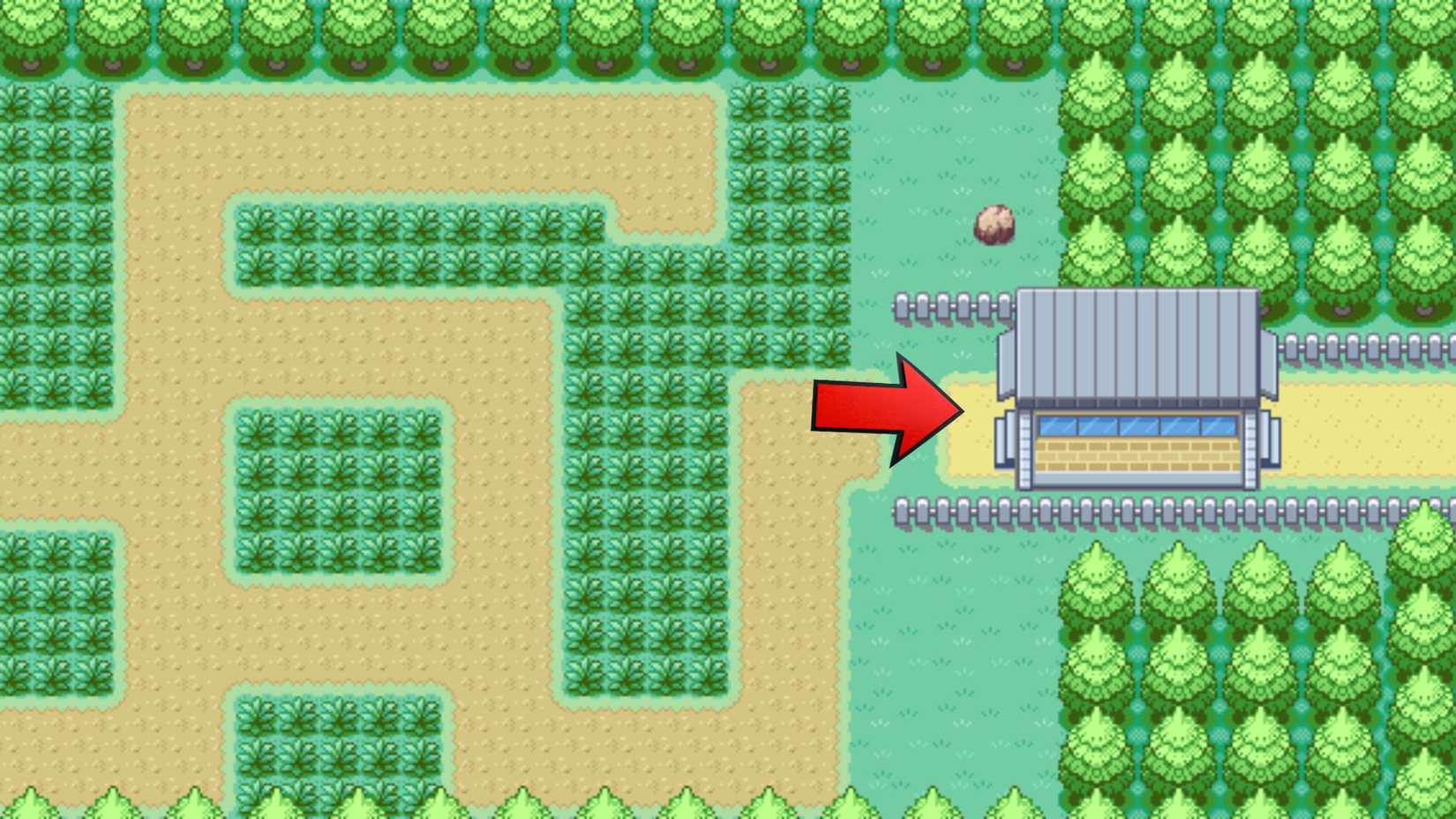 Route 11 Professor Oak's helper item finder in pokemon leaf green