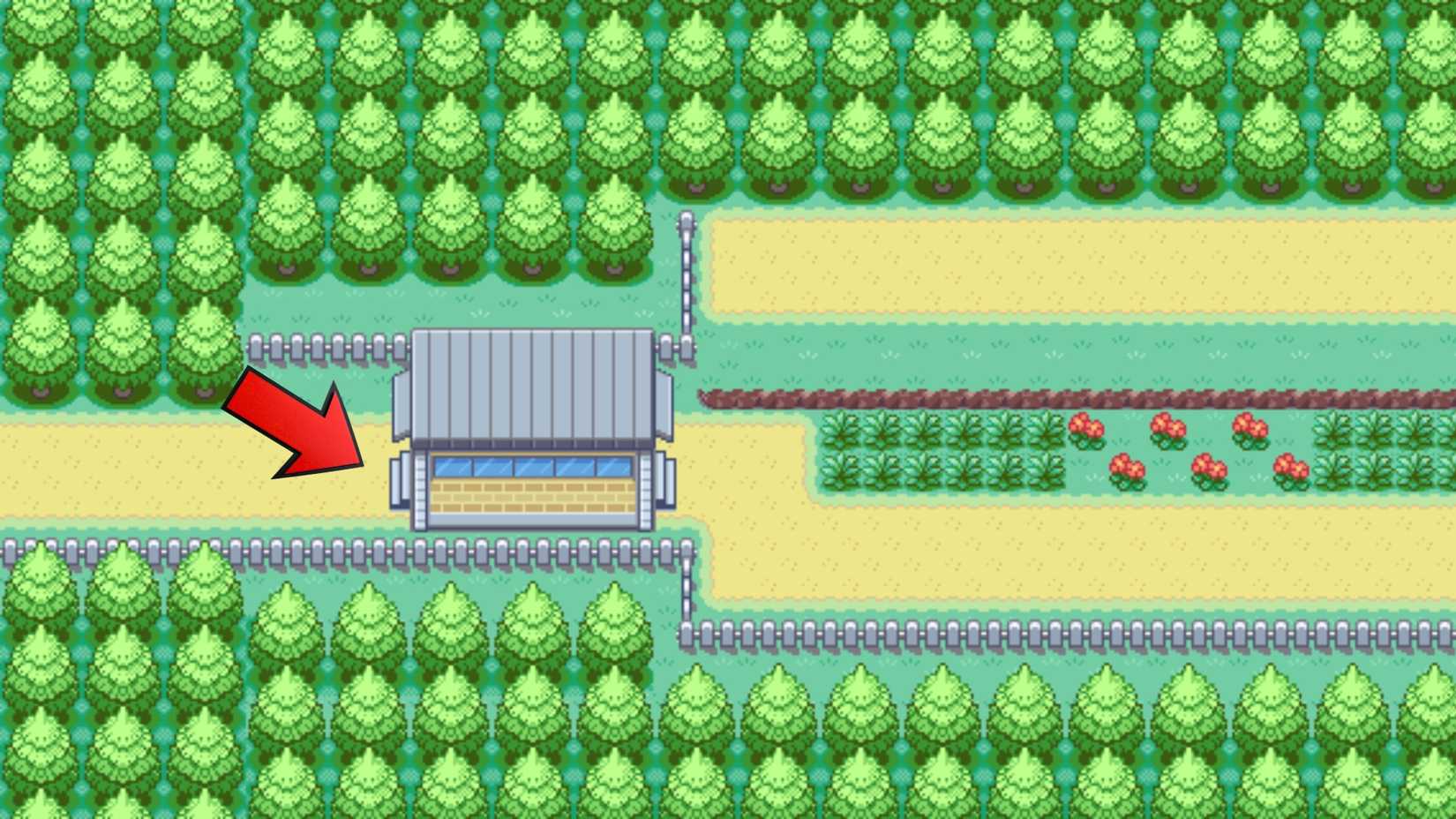 Route 15 Professor Oak's assistant participates in the pokemon shot leafgreen
