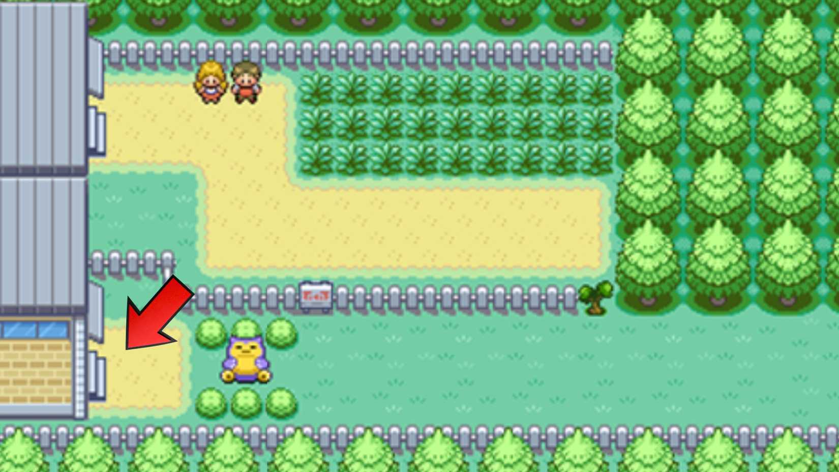 Route 16 Professor Oak's Assistant Amulet Coin in Leaf Color Fired Pokemon